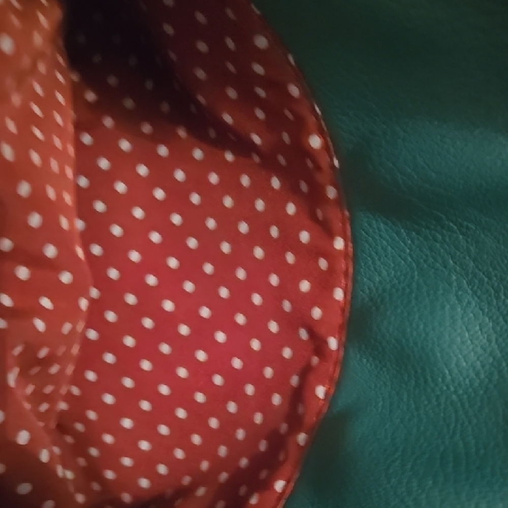 Chala Dark Brown and Teal Turtle Crossbody Bag - Picture 8 of 12
